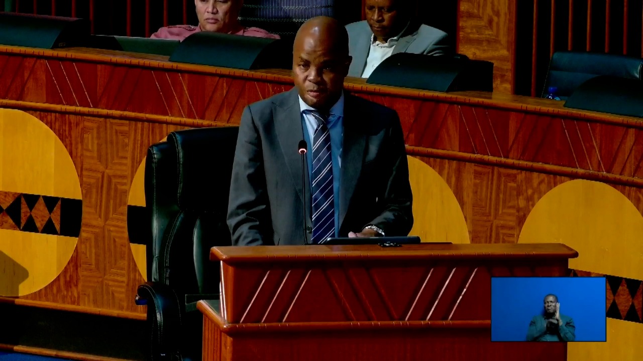 Mpumalanga Premier Mandla Ndlovu